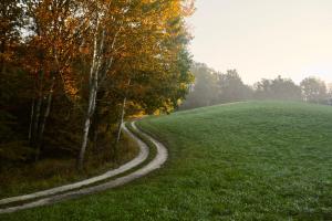 Żurawi klangor dom z sauną i jacuzzi