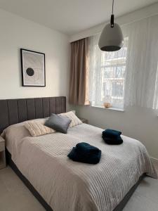 Apartamenty Wilenska