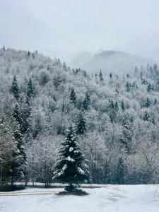 Mountain Retreat Hotel by Dukley