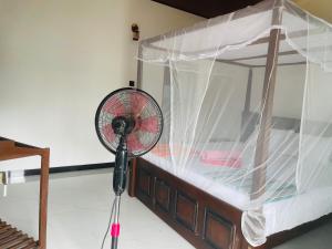 Comfert Homestay