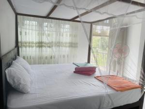 Comfert Homestay