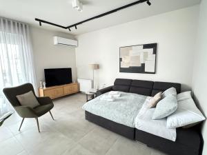 Pnoẽs Volos City Center Luxury Suite with private parking