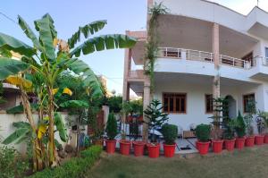 Nature Escape Villa