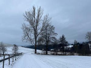 Ferienhaus energieautark in Mariahof