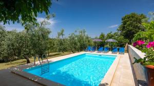 Villa Greis with 4 bedrooms and pool in Buje