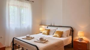 Villa Greis with 4 bedrooms and pool in Buje