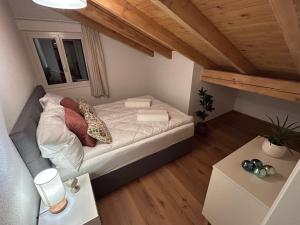 Swiss Horizon - Penthouse mit Aussicht & Liftnähe auf 2 Etagen