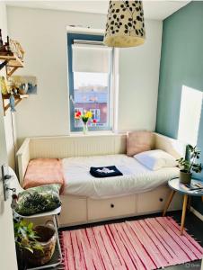 Canal House - Homestay