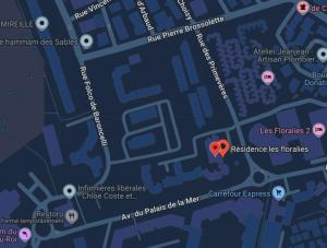 STUDIO GRAU DU ROI - LES FLORALIES