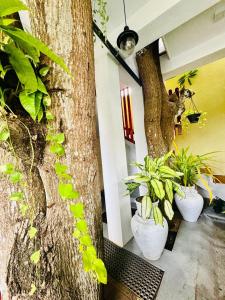 Amba Villa Residence