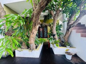 Amba Villa Residence