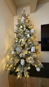 Maso K - Il Gufo Dorato