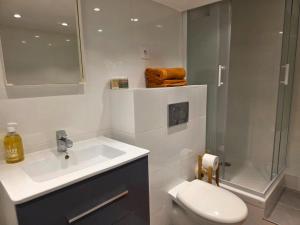 Cosy T2 bien placé proche de PartDieu dans Lyon 6