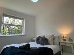 Two Bed Apartment near City Centre