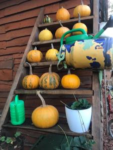 Ślimakowa chatka jak u babci