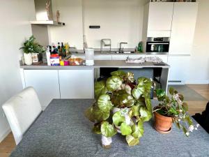 Lovely Family-Friendly Steps from Atomium - City Center 6 min