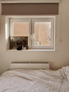 Cozy and Bright 1Bedroom Flat in Stokey