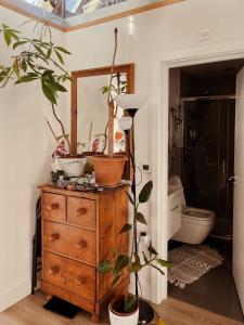 Cozy and Bright 1Bedroom Flat in Stokey