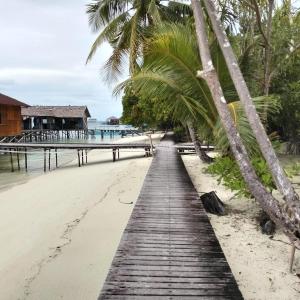 Diving Mansuar and home