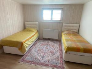 Cozy ground floor apartment