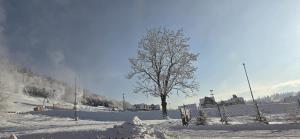 Pokoje Gościnne Pod Grapą