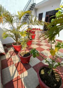 Singh Loft - Cozy 2nd Floor Penthouse