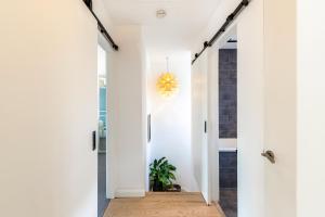 Charming First Floor Flat in Tufnell Park