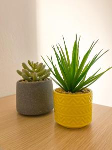 Μικρό διαμέρισμα 20μ από την κεντρική πλατεία