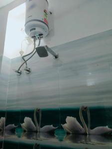 Homestay