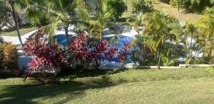 Pacific View Condominium in Playa Azul