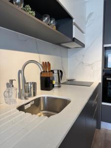 Modern 1D1B with Style Full Living Room and Kitchen