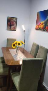 Apartment Zvezda two bedroom center