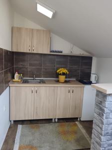 Apartment Zvezda two bedroom center