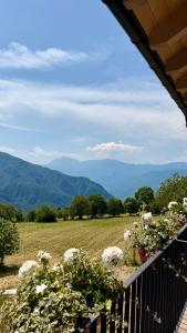 La Tana del Cervo del Maso K