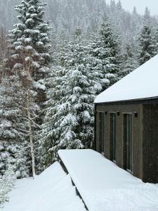 Cottages Shepit Lisu New