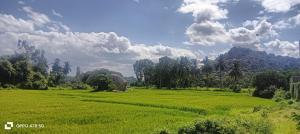 DEVI HOMESTAy