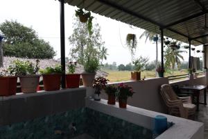 DEVI HOMESTAy