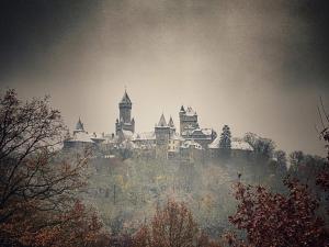 Forest View, ganzes Haus 100qm, 2 Schlafzimmer, 2 Bäder, Badewanne, Garten & Terrasse