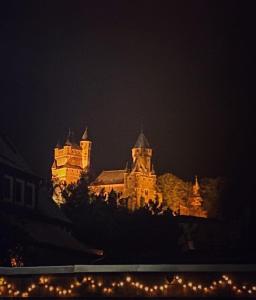 Forest View, ganzes Haus 100qm, 2 Schlafzimmer, 2 Bäder, Badewanne, Garten & Terrasse