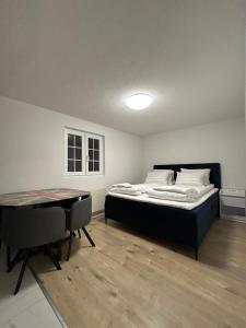 WEF and Ski Luxury Apartment AK