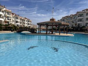 Cosy Studio on the First Floor with lovely Terrace and Personal Garden Area, Pool View and Free Beach Access in Sharm Hills Resort