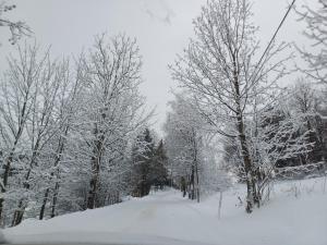 Apartmány Vila Jestřabí v Krkonoších