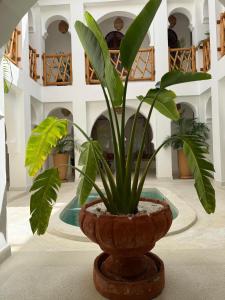 Natural living eco resort