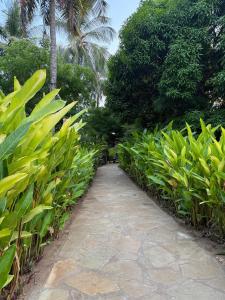 Natural living eco resort