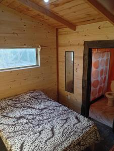 El Diablo de la Viuda Cabañas