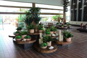 Polinesia Resort - Porto de Galinhas - Acesso ao Hotel Samoa - 11 Apartamentos com 3 opções de térreo com piscina privativa - AllFlatsPorto