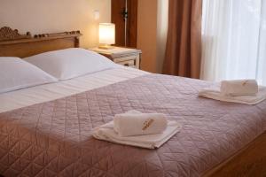 Pensiunea Crocus - Sauna & Billiard