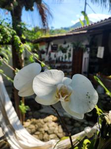 Casa Maravilha São Roque