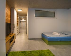 Apartment Brno-Lesná