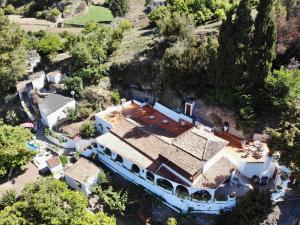 Citrus Finca LosArcos Canarias-back to nature